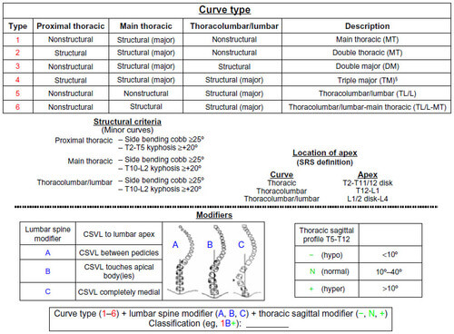 Lenke 1-6 type+N -+sagittal plane correction+A \ B \ C rotation correction